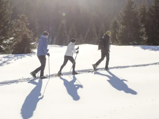 Tre persone camminano con le ciaspole su un sentiero innevato, godendosi le escursioni invernali in Trentino.