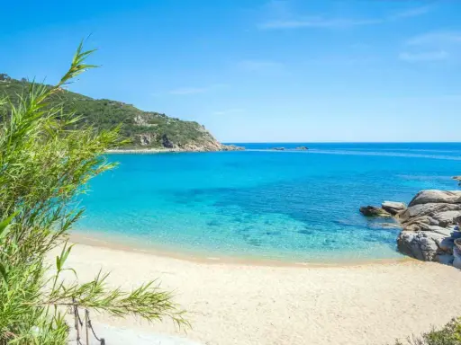 Spiaggia incantevole con sabbia bianca toscana, acque cristalline e vegetazione rigogliosa.