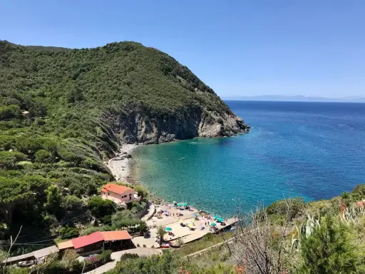 Una baia incantevole all'isola d'Elba, con acque cristalline, una spiaggia di ciottoli e case colorate immerse nel verde.