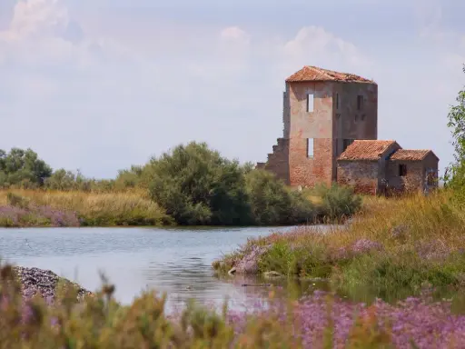Rovine di un antico casale tra canneti e fiori viola, un paesaggio suggestivo che ricorda i paesi belli vicino a Ferrara.