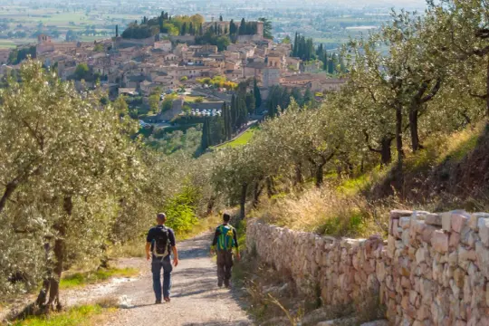 Two hikers walk on a path through olive groves towards a medieval Italian town on a hill.