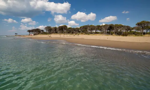Spiaggia dorata e pineta rigogliosa bagnate da un mare cristallino toscana. Nuvole bianche nel cielo azzurro.