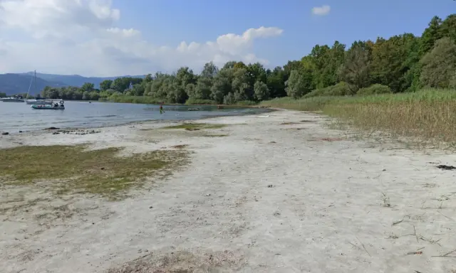 Spiaggia sabbiosa al lido di Lisanza, con barche a vela e persone che nuotano in un lago circondato da alberi.