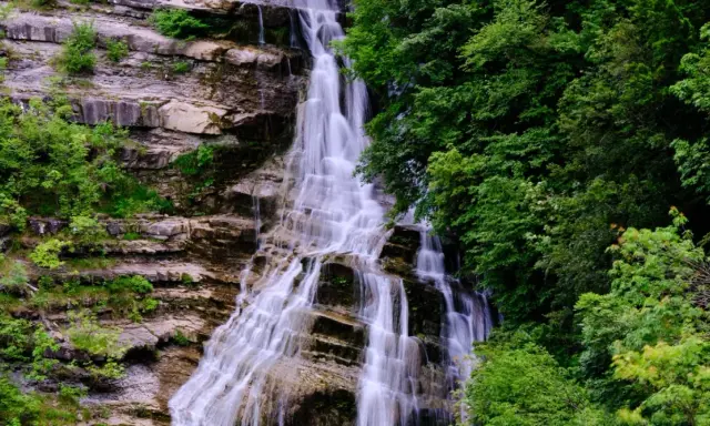 Cascate del Casentino: un velo d'acqua scende su rocce stratificate, circondato da una lussureggiante vegetazione verde.
