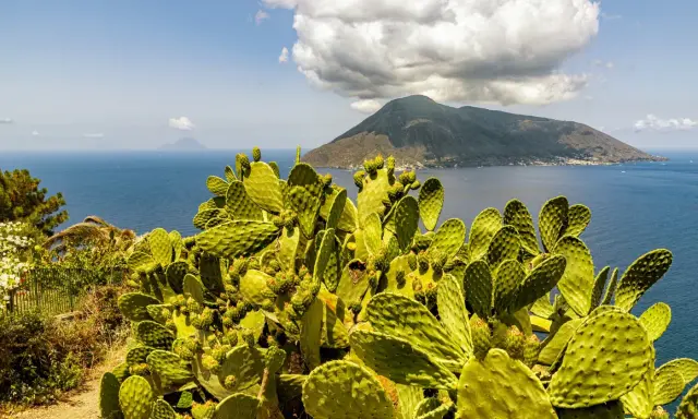 Fico d'India rigoglioso domina la scena, con il mare blu e un vulcano sullo sfondo, un'immagine perfetta per le vacanze isole della Sicilia.