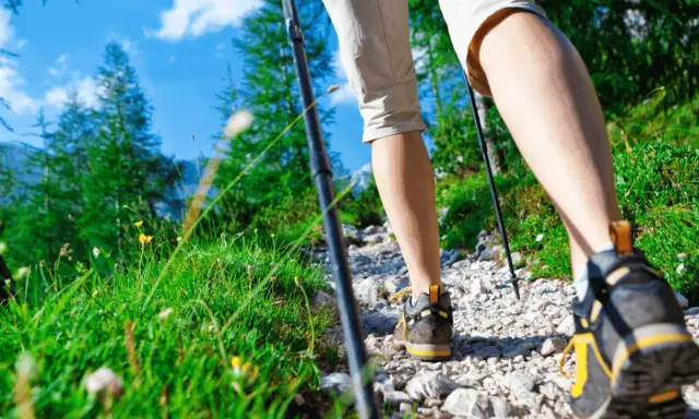 Camminando sul sentiero dei poeti, tra erba verde e fiori gialli, con bastoncini da trekking e scarponi da montagna.