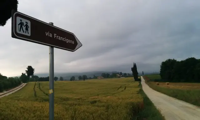 Segnale della Via Francigena indica il cammino attraverso campi dorati e un viale di cipressi sotto un cielo nuvoloso.