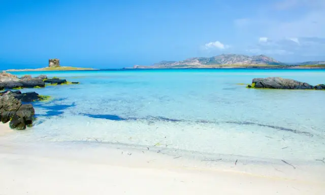 Spiagge Alghero e dintorni: torre antica su isolotto, acque cristalline e sabbia bianca. Un paradiso sardo.