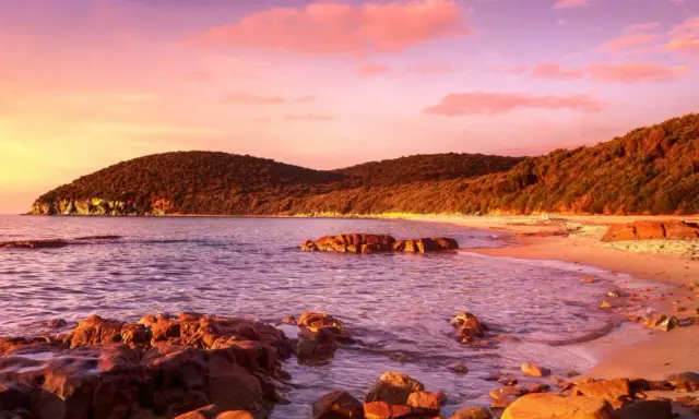 Tramonto infuocato sulla costa, con colline boscose e rocce che emergono dal mare. Un luogo magico da scoprire, la punta ala cosa vedere.