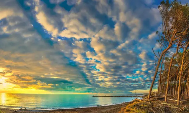 Tramonto su una spiaggia toscana, con pini marittimi e un mare calmo. Un'immagine perfetta per scoprire località mare toscana economiche.
