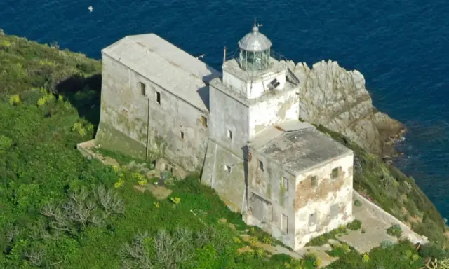 Faro abbandonato sull'isola di Palmaiola, con edifici in rovina e vegetazione rigogliosa che abbraccia la costa rocciosa.