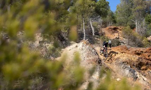 Ciclista su un sentiero sterrato, tra rocce e pini, esplora i percorsi MTB Toscana.