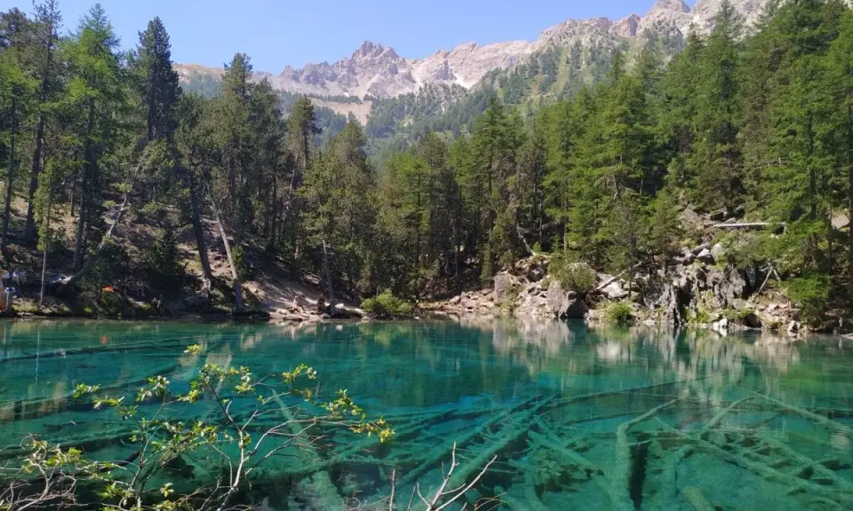 Un incantevole lago vicino Torino, con acque cristalline che rivelano tronchi sommersi. Le montagne e i pini creano uno scenario alpino mozzafiato.