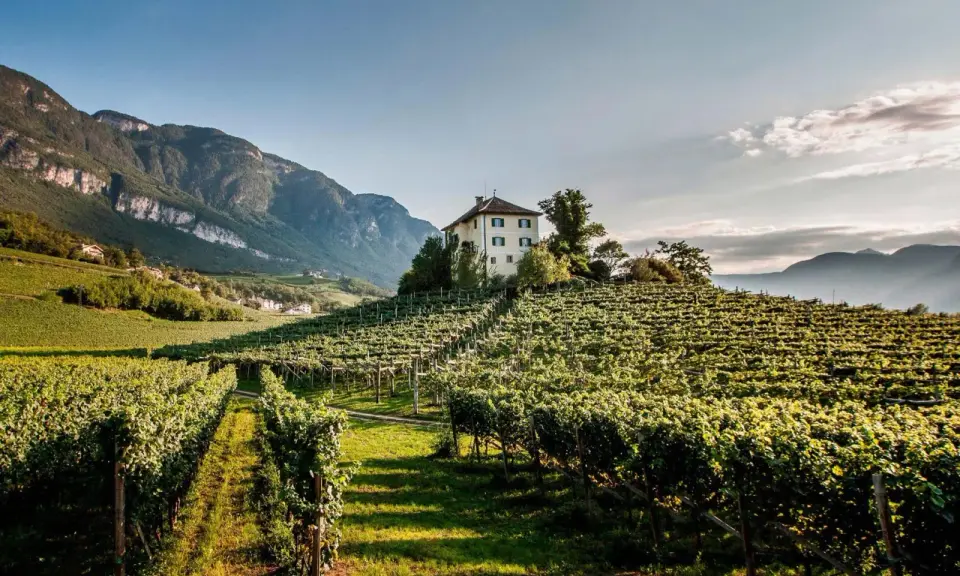 Vigneti rigogliosi su dolci colline, una casa isolata in cima. Perfetto per un tour enogastronomico Toscana.