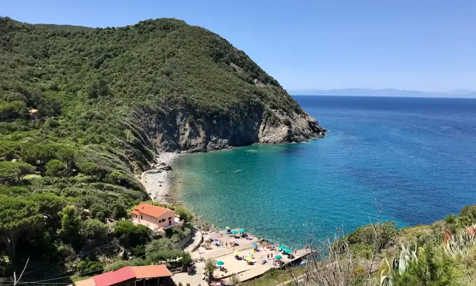 Una baia incantevole all'isola d'Elba, con acque cristalline, una spiaggia di ciottoli e case colorate immerse nel verde.