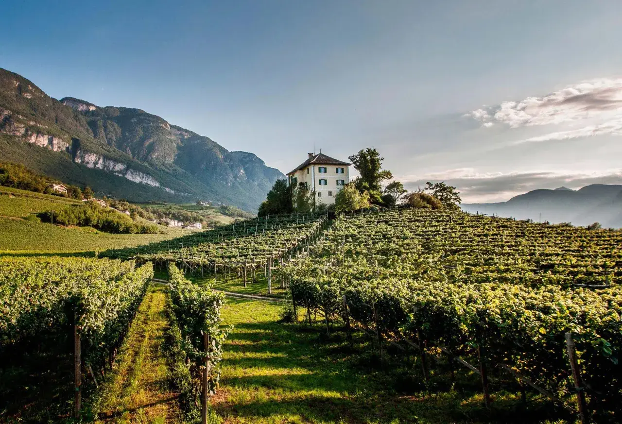 Vigneti rigogliosi su dolci colline, una casa isolata in cima. Perfetto per un tour enogastronomico Toscana.