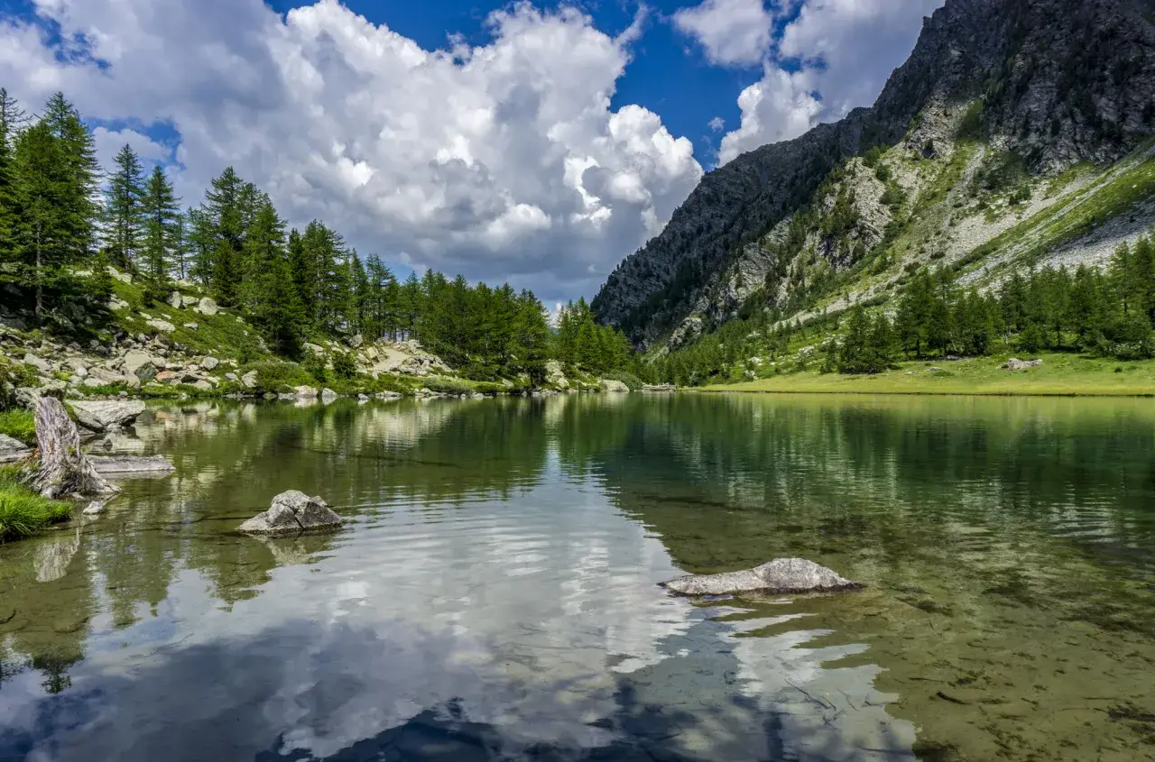 Specchio d'acqua cristallino tra i **laghi della Valle d'Aosta**, circondato da pini e rocce, con montagne imponenti e cielo azzurro con nuvole bianche.