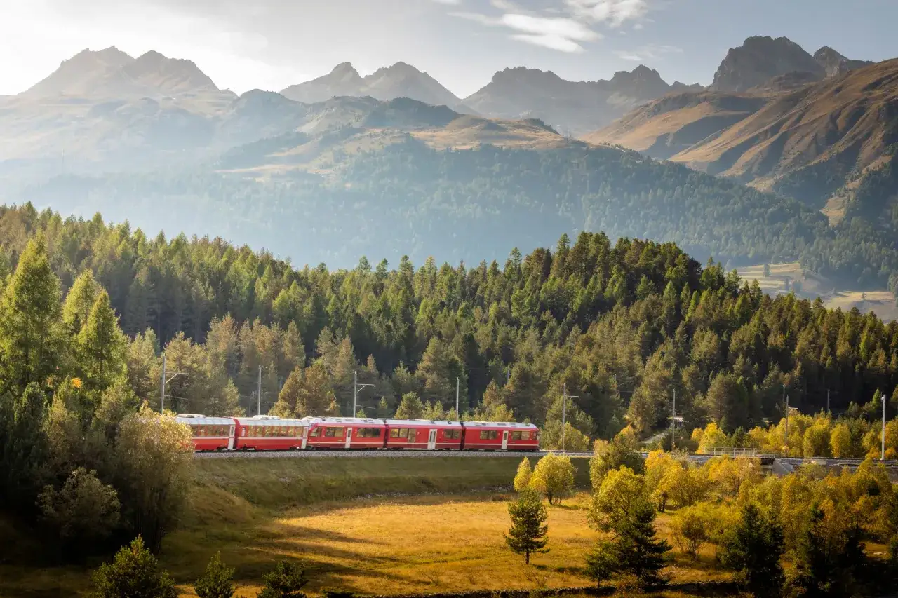 Un treno rosso attraversa un paesaggio alpino autunnale, con foreste di conifere e montagne sullo sfondo.