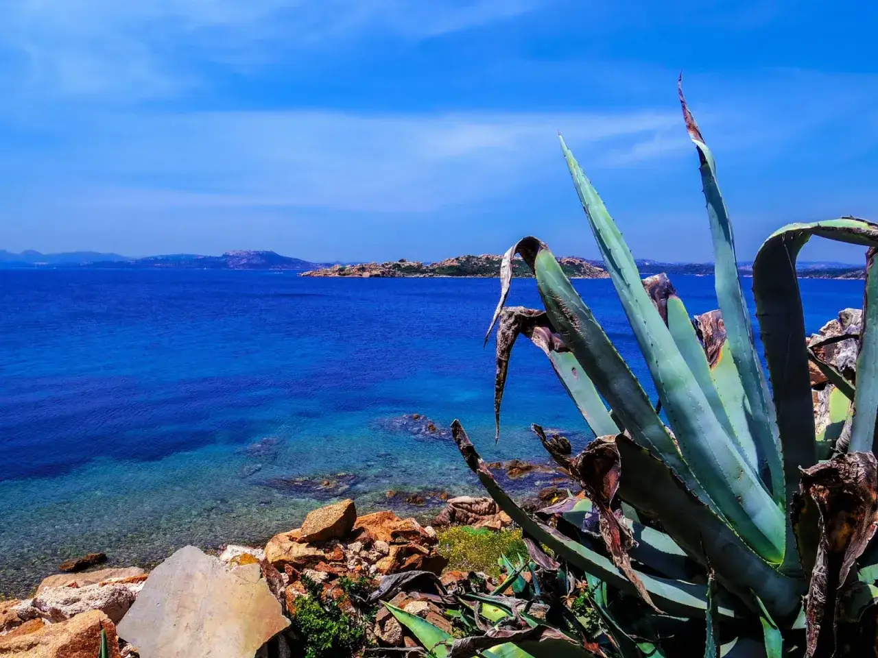 Vista mozzafiato del mare cristallino e delle isole, perfetta per chi ama visitare la Maddalena in auto, con un'agave in primo piano.