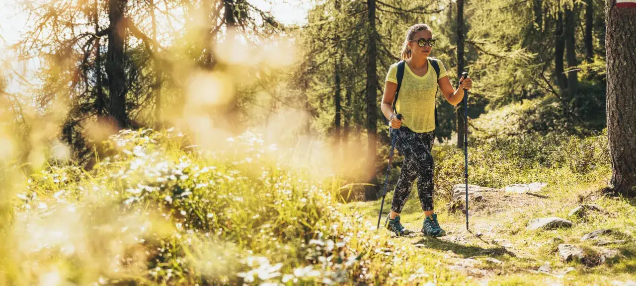 Donna con bastoncini da trekking cammina su sentiero soleggiato tra alberi, ideale per passeggiate facili vicino a Trento.