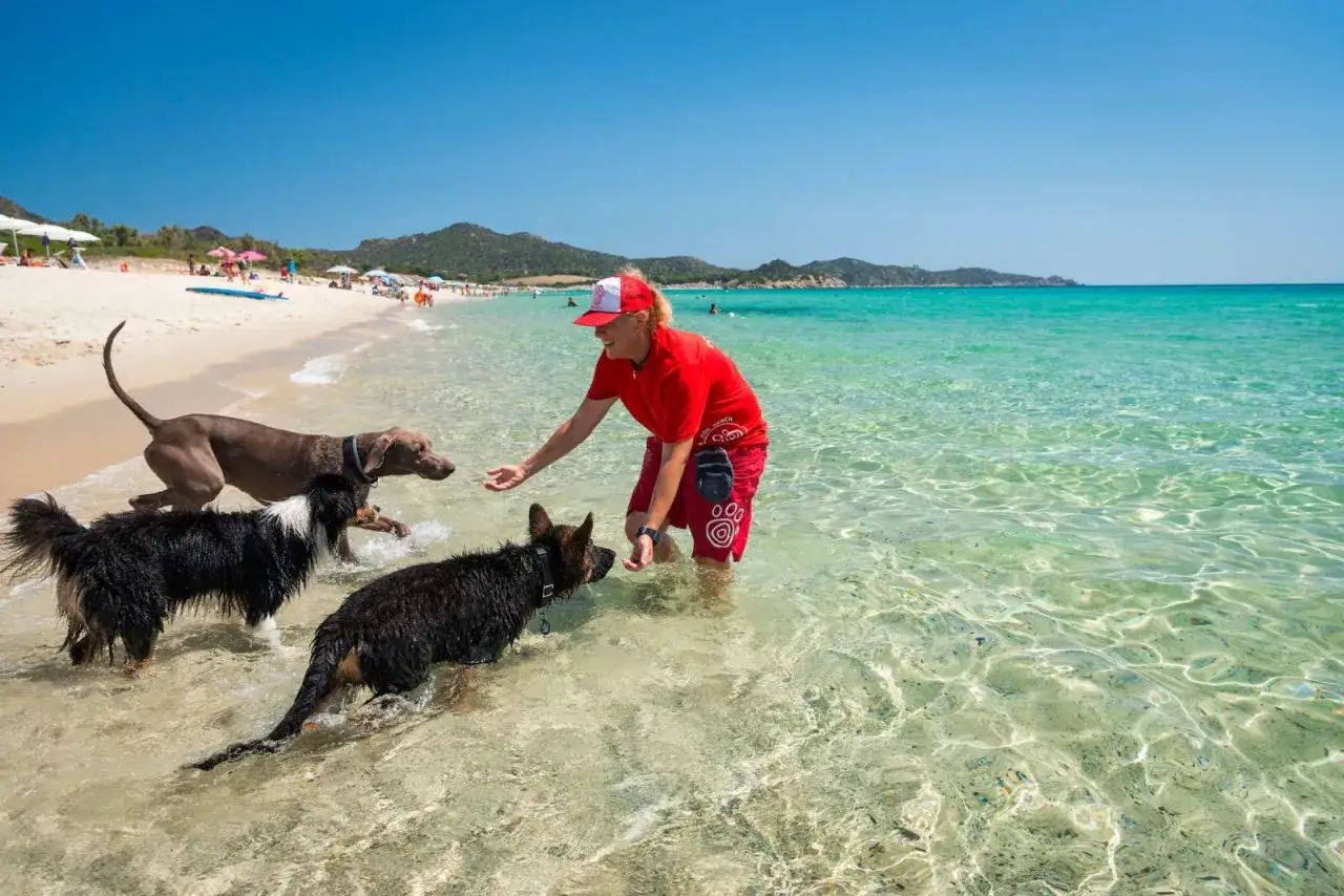 Donna gioca con tre cani in una splendida spiaggia per cani in Sardegna. Acqua cristallina e sole splendente.