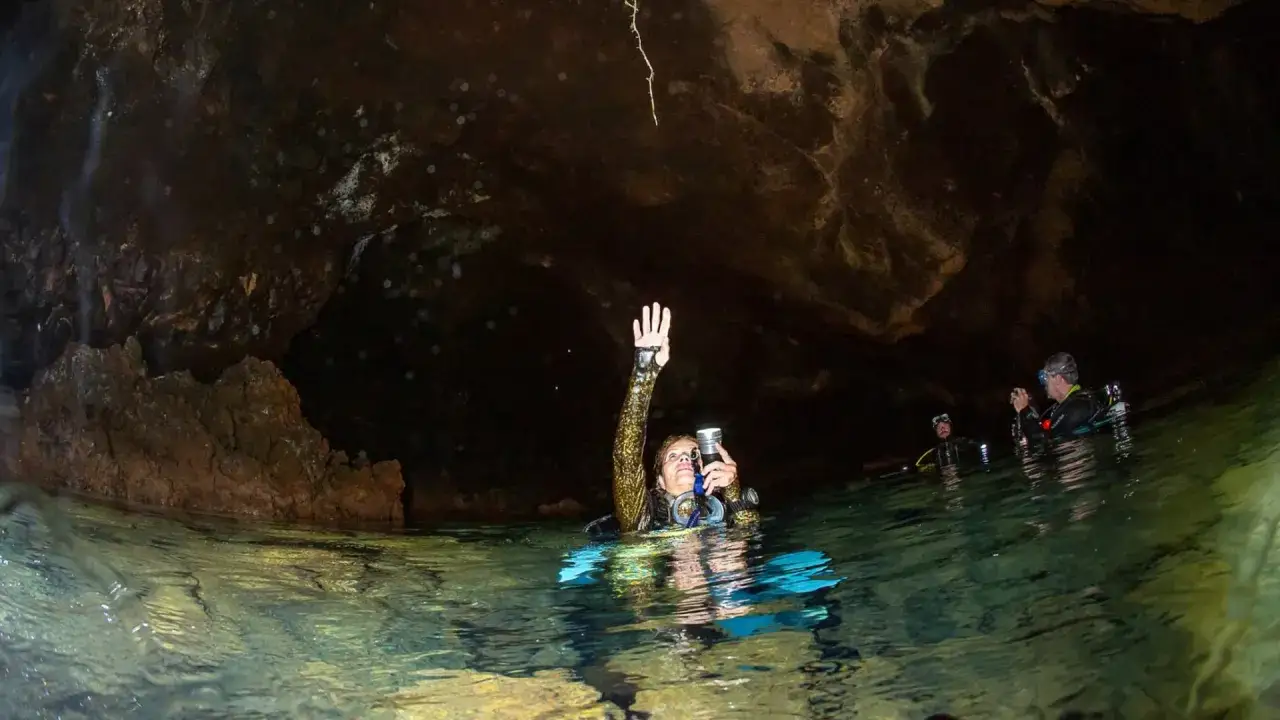Esplorazione subacquea in una grotta marina: un'immersione tra le meraviglie da scoprire a Ustica.
