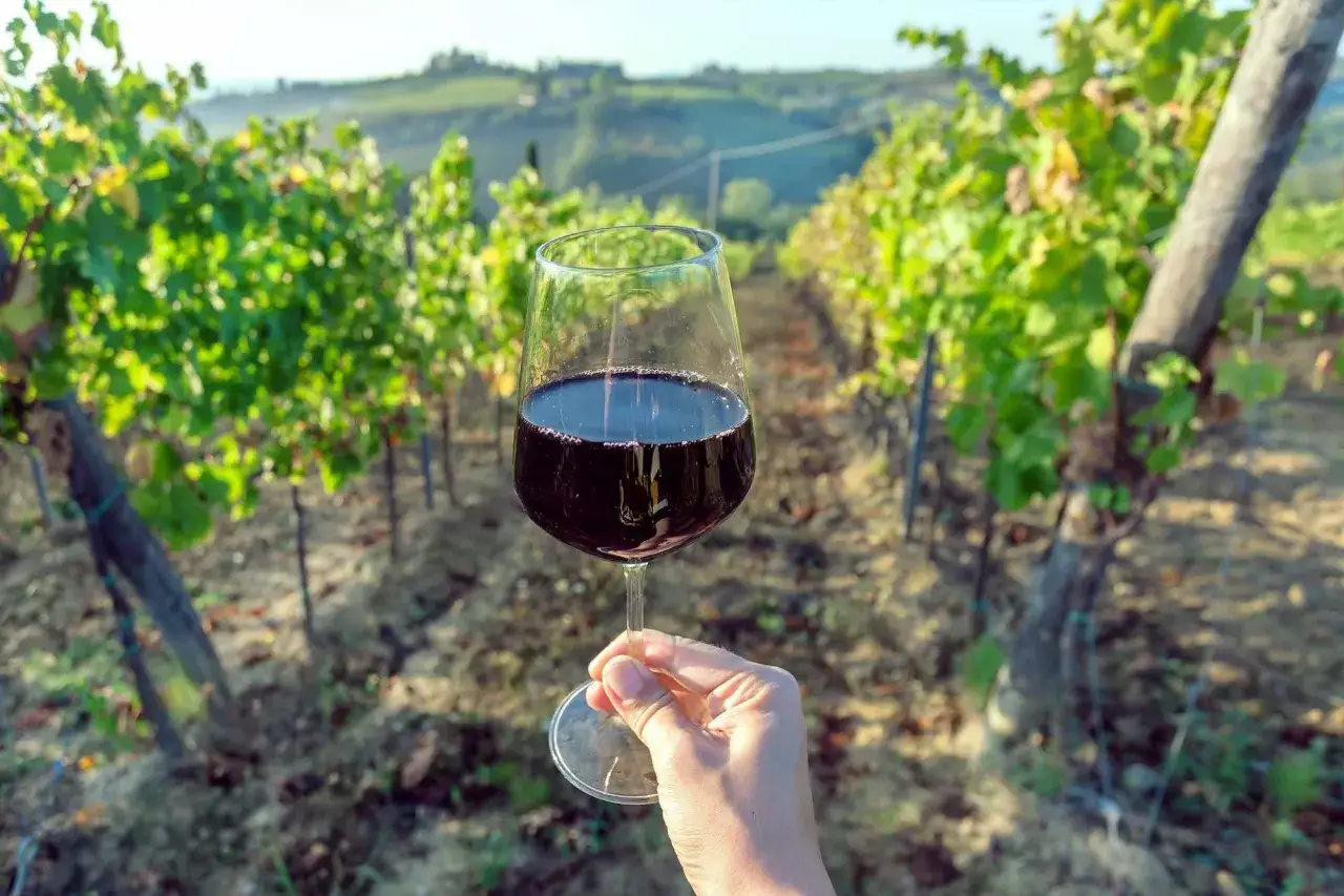 Un bicchiere di vino rosso tra i filari di una vigna in Toscana, con dolci colline sullo sfondo.