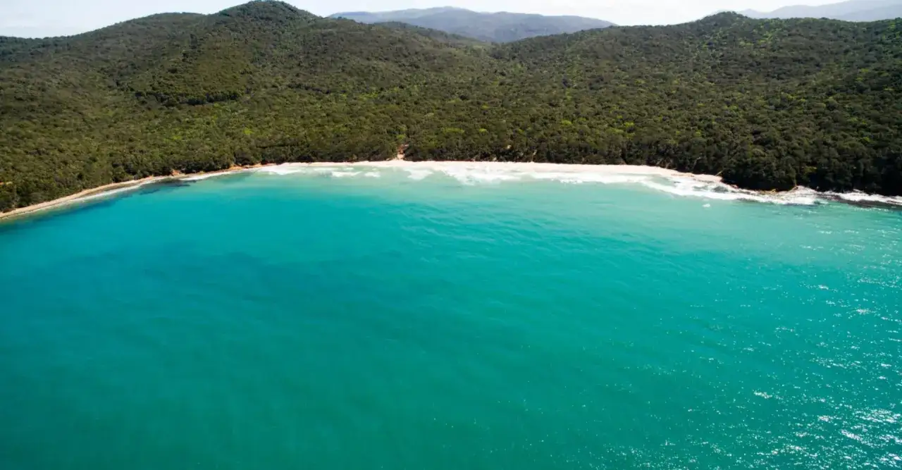 Acque cristalline lambiscono una spiaggia dorata, incorniciata da una rigogliosa macchia mediterranea che scende dolcemente verso il mare. Un angolo di paradiso nel golfo di Follonica.