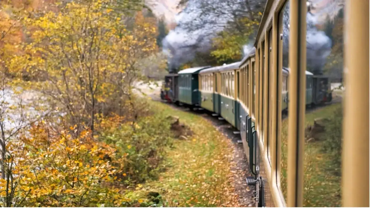 Un treno storico attraversa un paesaggio autunnale in Italia, con alberi dai colori vivaci e fumo che esce dal locomotore. Un'esperienza indimenticabile sui treni panoramici Italia.