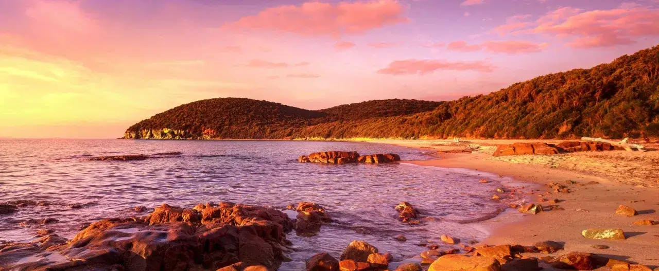 Tramonto infuocato sulla costa, con colline boscose e rocce che emergono dal mare. Un luogo magico da scoprire, la punta ala cosa vedere.