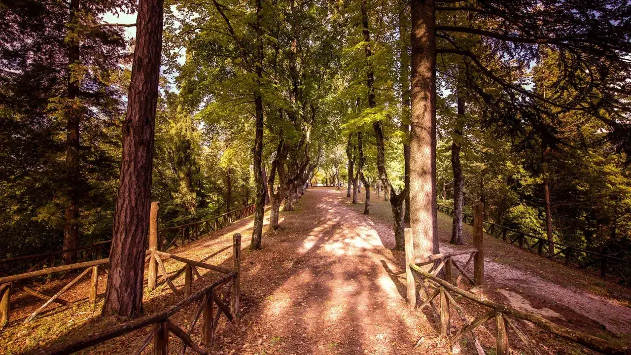 Sentiero alberato con staccionata in legno, un luogo incantevole nei Bagni di Romagna.