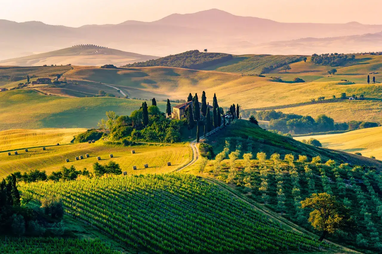 Colline dorate, vigneti e un casale con cipressi: ecco cosa vedere in Val d'Orcia, un paesaggio da sogno.