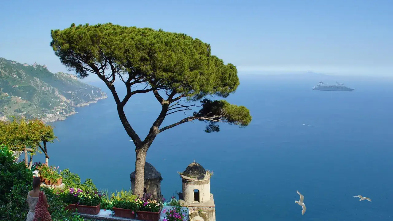 Vista mozzafiato sulle isole costiera amalfitana, con un pino marittimo che domina la scena e un transatlantico all'orizzonte.
