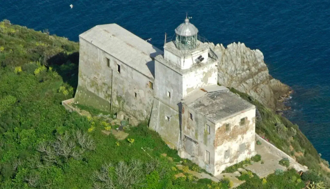 Faro abbandonato sull'isola di Palmaiola, con edifici in rovina e vegetazione rigogliosa che abbraccia la costa rocciosa.