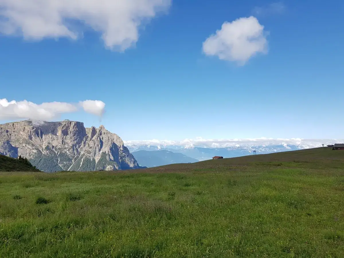 Prato fiorito sull'Alpe di Siusi, con la maestosa Bullaccia sullo sfondo e un cielo azzurro punteggiato di nuvole.