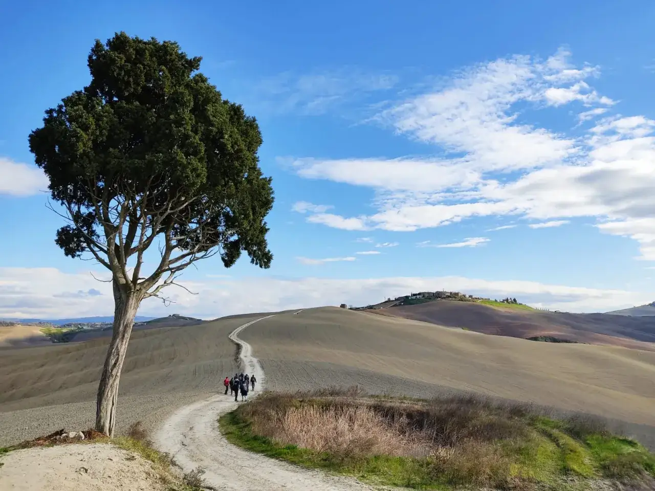 Un gruppo di escursionisti percorre un sentiero sterrato tra le dolci colline toscane, seguendo le tappe della Via Lauretana.