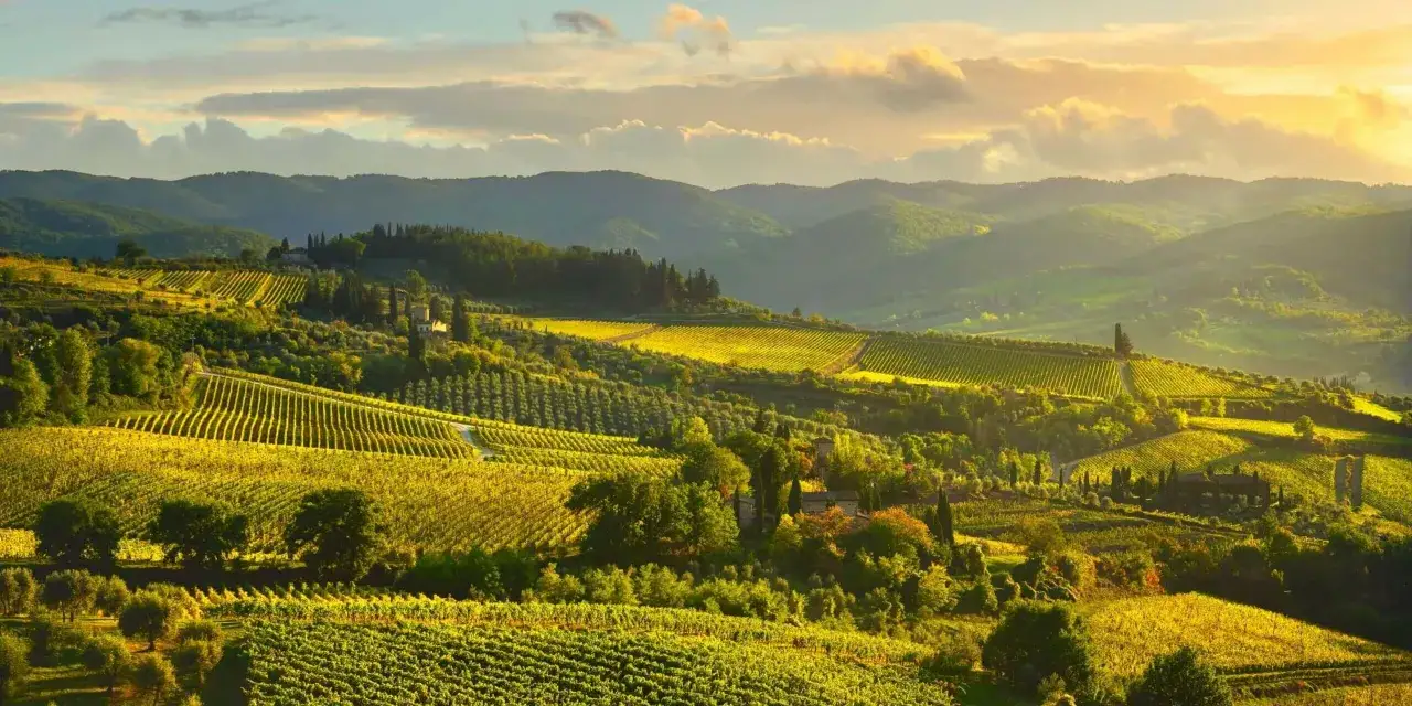Colline toscane illuminate dal sole, con vigneti che evocano la differenza tra Chianti e Chianti Classico.