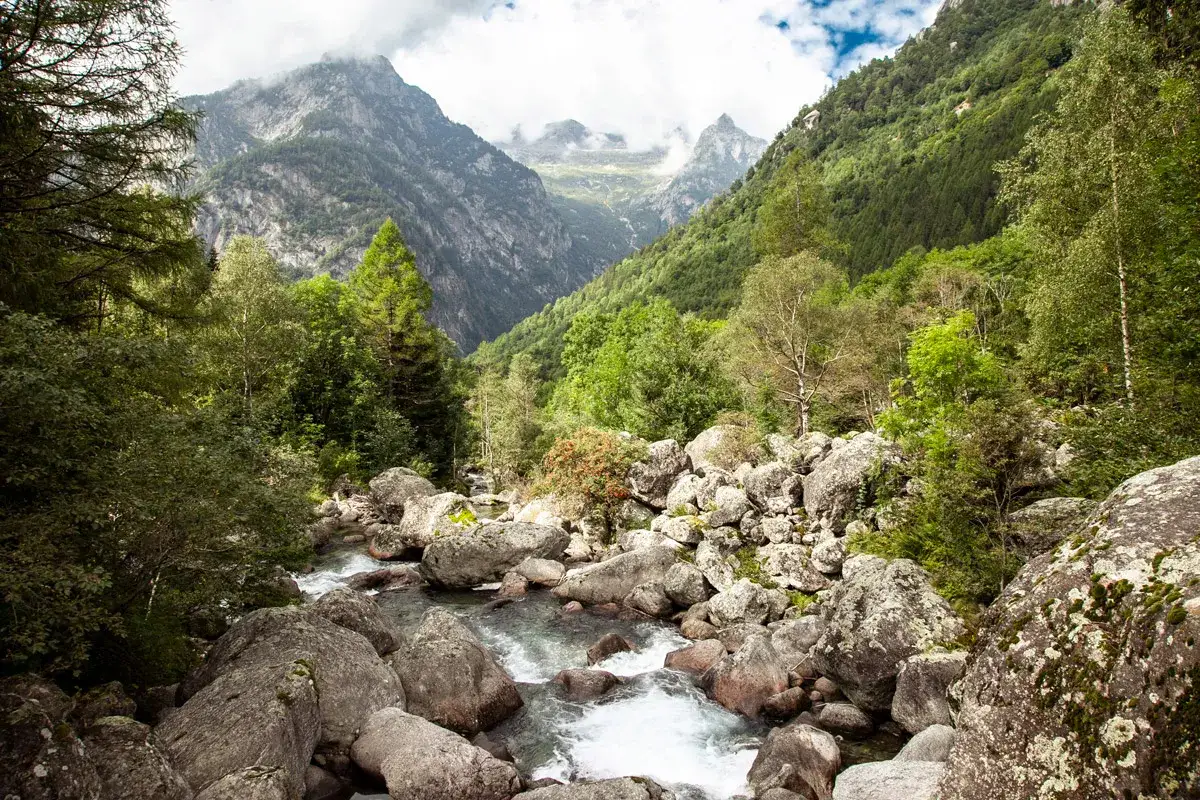 Val di Mello: cosa vedere? Un torrente scorre tra rocce e boschi lussureggianti, con montagne imponenti sullo sfondo.