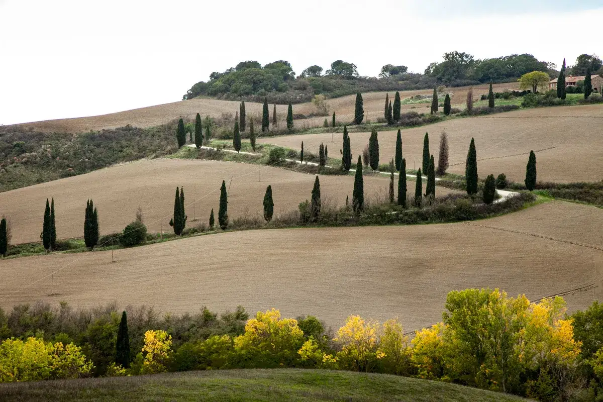 Colline toscane con cipressi e campi arati, un paesaggio da sogno per chi cerca cosa visitare in toscana in 2 giorni.