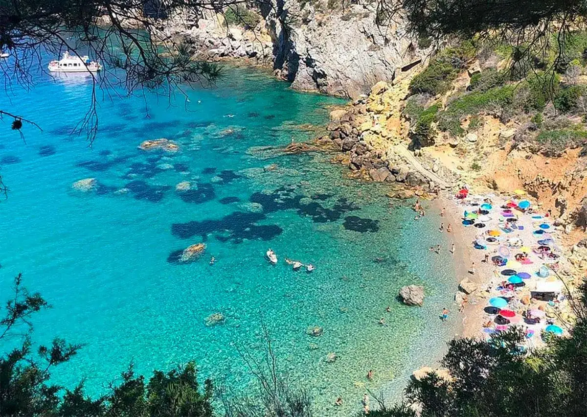 Spiaggia affollata con ombrelloni colorati e acque cristalline. Un sentiero scende verso il mare, ideale per capire come arrivare a Cala del Gesso.