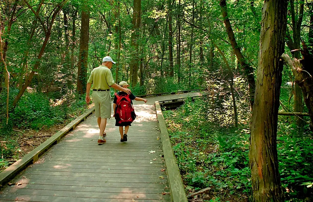 Un nonno e suo nipote camminano nella natura su un sentiero di legno, immersi nel verde di un bosco lussureggiante.