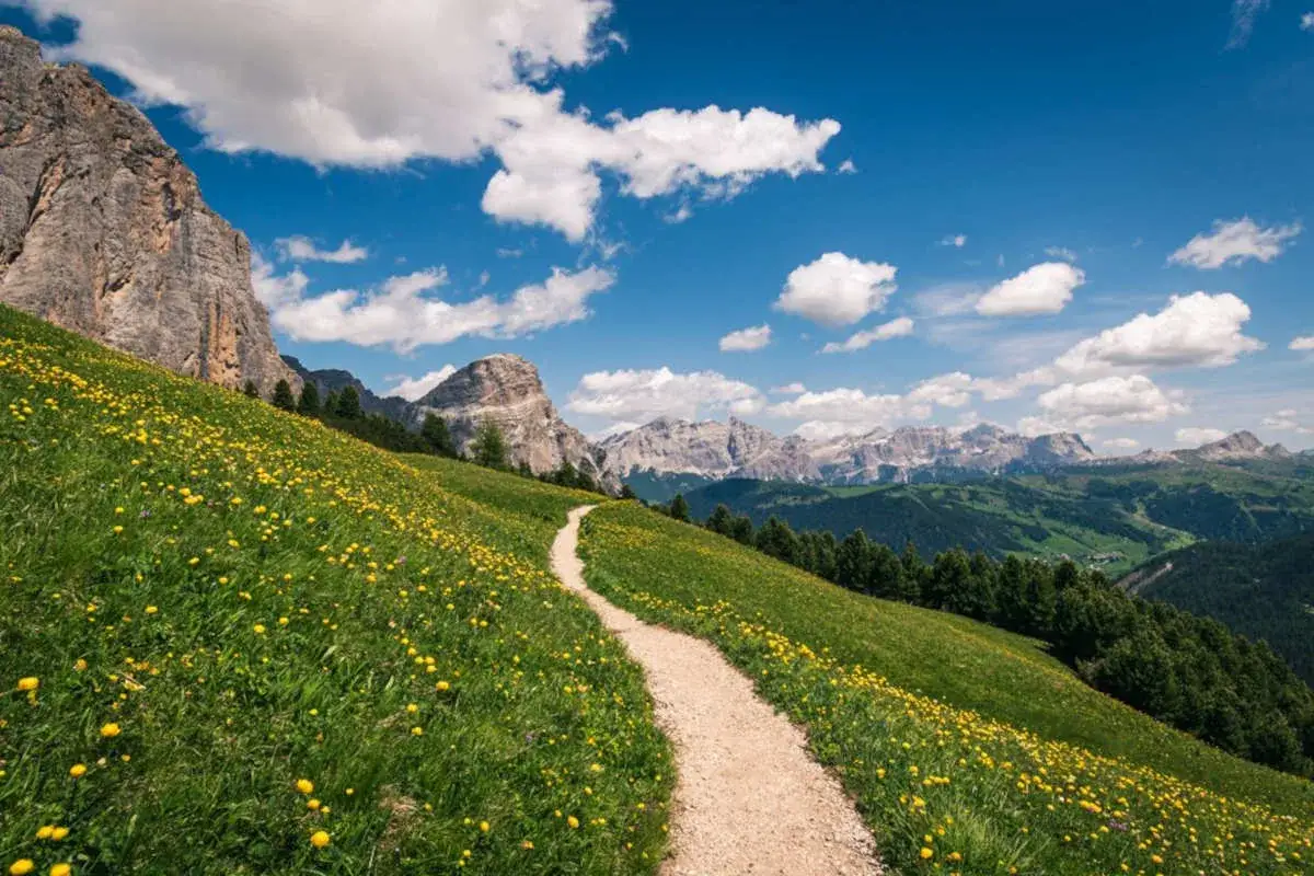 Sentiero in un prato fiorito di giallo, con le maestose montagne italiane più famose sullo sfondo e un cielo azzurro con nuvole bianche.