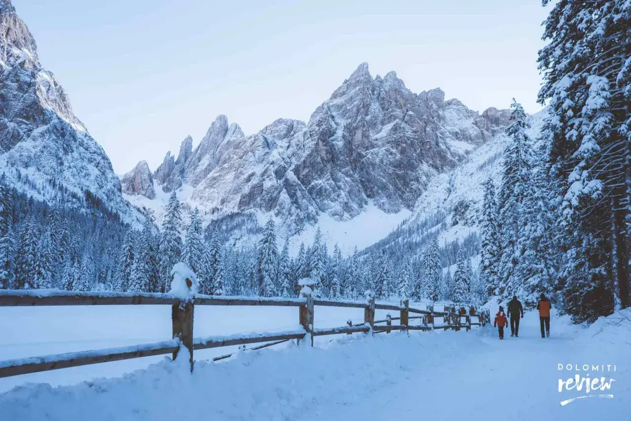 Famiglia in cammino per escursioni invernali Dolomiti, tra alberi innevati e maestose vette.