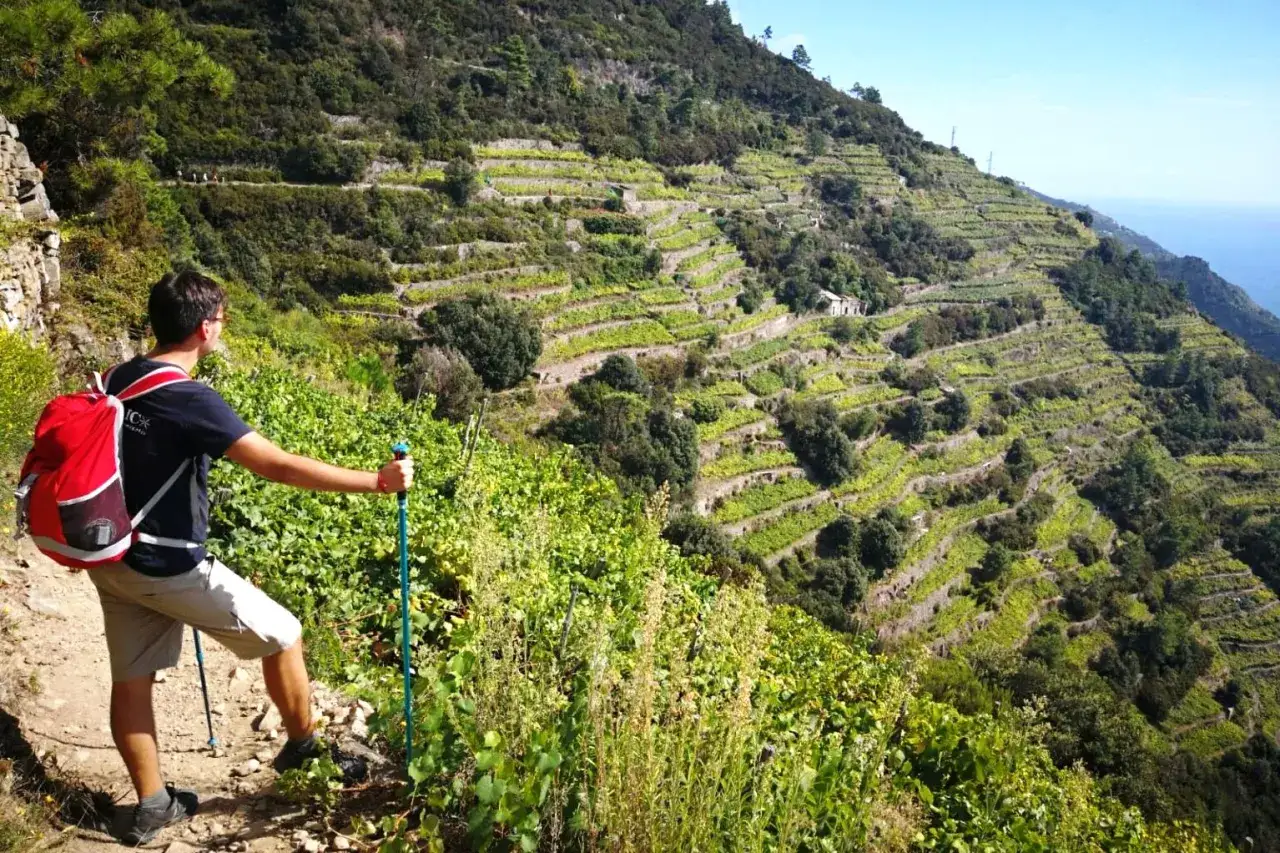 Un escursionista con zaino rosso percorre il sentiero dei poeti, ammirando i terrazzamenti coltivati a vigneti che scendono verso il mare.
