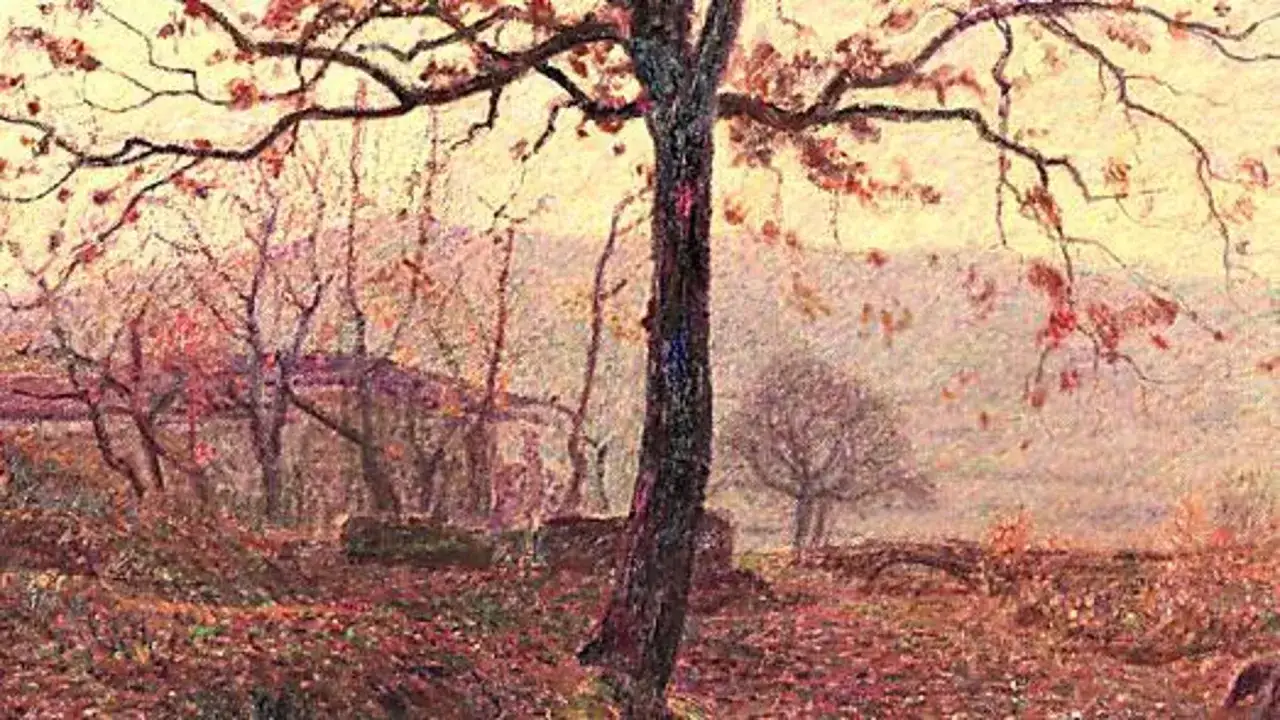 Un paesaggio autunnale a Volpedo, con alberi spogli e foglie rosse a terra. Un invito a scoprire cosa vedere in questo luogo incantevole.