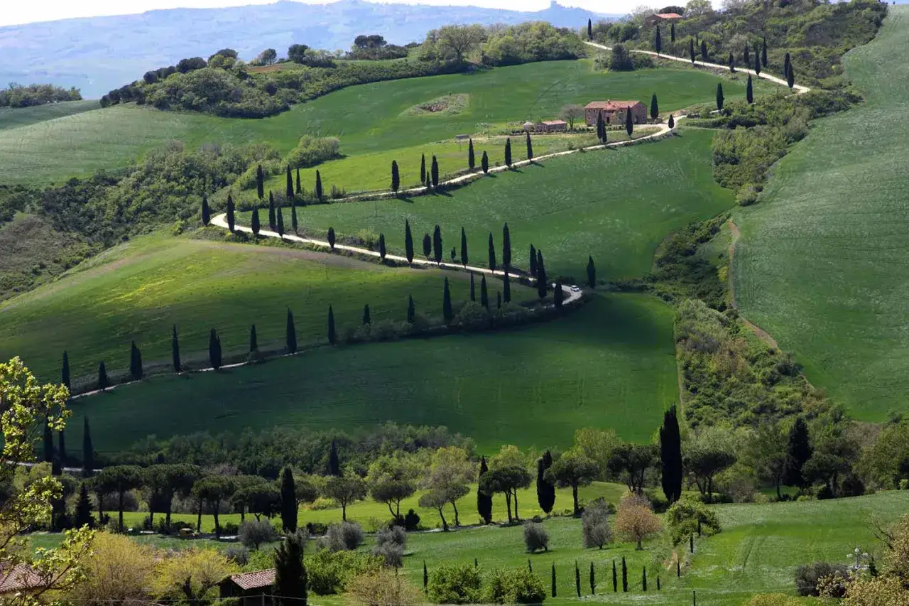 Colline ondulate del Val d'Orcia con cipressi che fiancheggiano una strada tortuosa verso un casale.