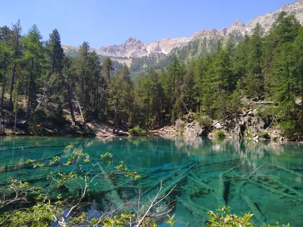 Un incantevole lago vicino Torino, con acque cristalline che rivelano tronchi sommersi. Le montagne e i pini creano uno scenario alpino mozzafiato.