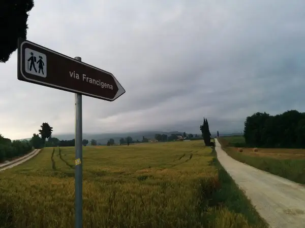 Segnale della Via Francigena indica il cammino attraverso campi dorati e un viale di cipressi sotto un cielo nuvoloso.