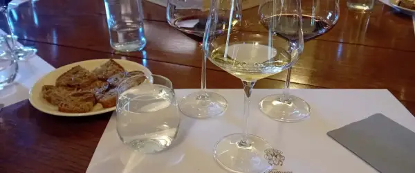 Calici di vino bianco e rosso, pane tostato e acqua per una degustazione vini Bolgheri.