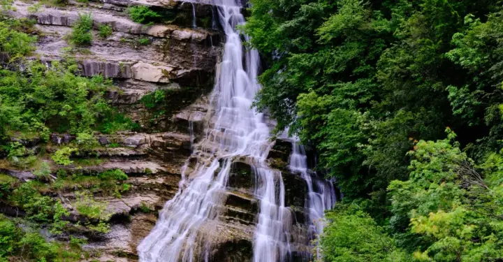 Cascate del Casentino: un velo d'acqua scende su rocce stratificate, circondato da una lussureggiante vegetazione verde.